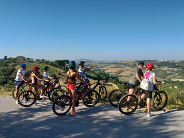 TOUR DELL’OLIO EVO IN E-BIKE CON DEGUSTAZIONE